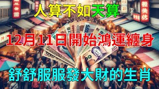 人算不如天算！這3生肖要爆發了！12月11號開始財運起飛！鈔票滾滾來富貴30年！|#運勢 #風水 #佛教 #生肖