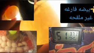 صناعة فقاسه بكرتونه تعديلات ج (2)فحص بيض اليوم 4Making a hatcher without a thermometer