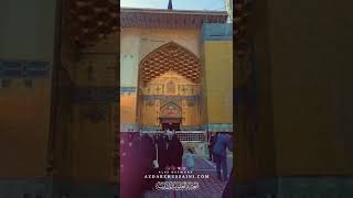 Ya Ali ❤ | Whatsapp Video Status | Imam Ali Holy Shrine Najaf | #shorts#alvi_network | Must watch