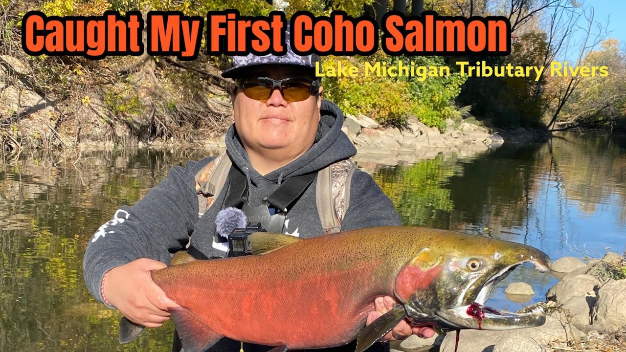 Lake Michigan Tributary Coho Salmon Run Fly Fishing | We Found The Pod ...