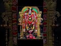 venkateswara swamy shortsfeed song tirupatibalajisongs balaji tirumala tiruchanoor_temple