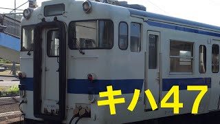 【大分・宮崎 25 of 48】JR日南線 青島駅にキハ40系(キハ47)が入線_JR Aoshima Station (Miyazaki Prefecture)