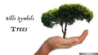 Bible Symbols, Trees