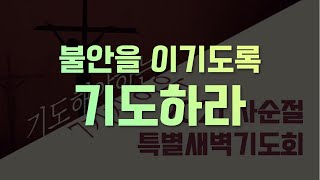 [사순절 특별새벽예배] 불안을 이기도록 기도하라 2021 0315 임학순 목사