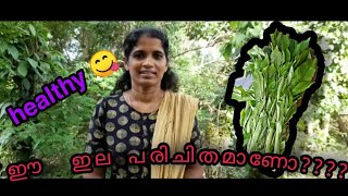 ആരോഗ്യകരമായ ഒരു ഇലക്കറി| healthy food | welcome|miniworld