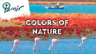 Visit İzmir - Get closer to the colors of nature