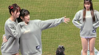 菲菲 芊芊 小美⚾2024/11/24一局下 冬季聯盟|台灣海洋vs山林