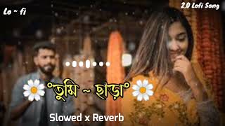 Tumi Chara (Lyrics) | তুমি ছাড়া | Slowed And Reverb | Bangla Lofi Song | Viral Song | 2.0 Lofi Song