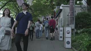 Enoshima Shrine Walk Tour in the Summer Heat 2024 | 4K HDR