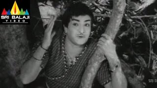 Alibaba 40 Dongalu Telugu Movie Part 5/15 | NTR, Jayalalitha | Sri Balaji Video