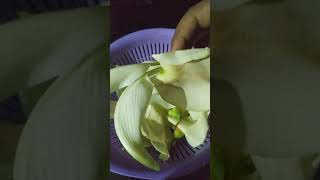 Aashvapulu at my home||అశ్వ పూలు చూసారా ఎపుడైనా ?|| Lord Shiva favourite flowers 🌼👌👍