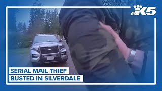 Serial mail thief busted