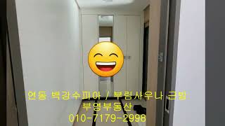 제주시 한라초근방 백강수피아  부영부동산