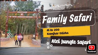 Atei Jungle Safari || Family Safari|| Wildlife Safari Odisha #ateijunglesafari#newsafari #viewpoint