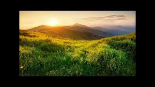Laid Back Acoustic Guitar Background Music - Relax Guitar Instrumental for Studying