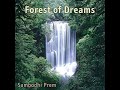 forest of dreams