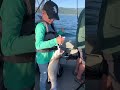 Lake Trout #fishing #flatheadlake #outdoors #adventure