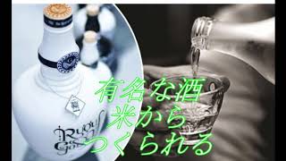 お酒、ベトナムの果物のお酒を紹介します