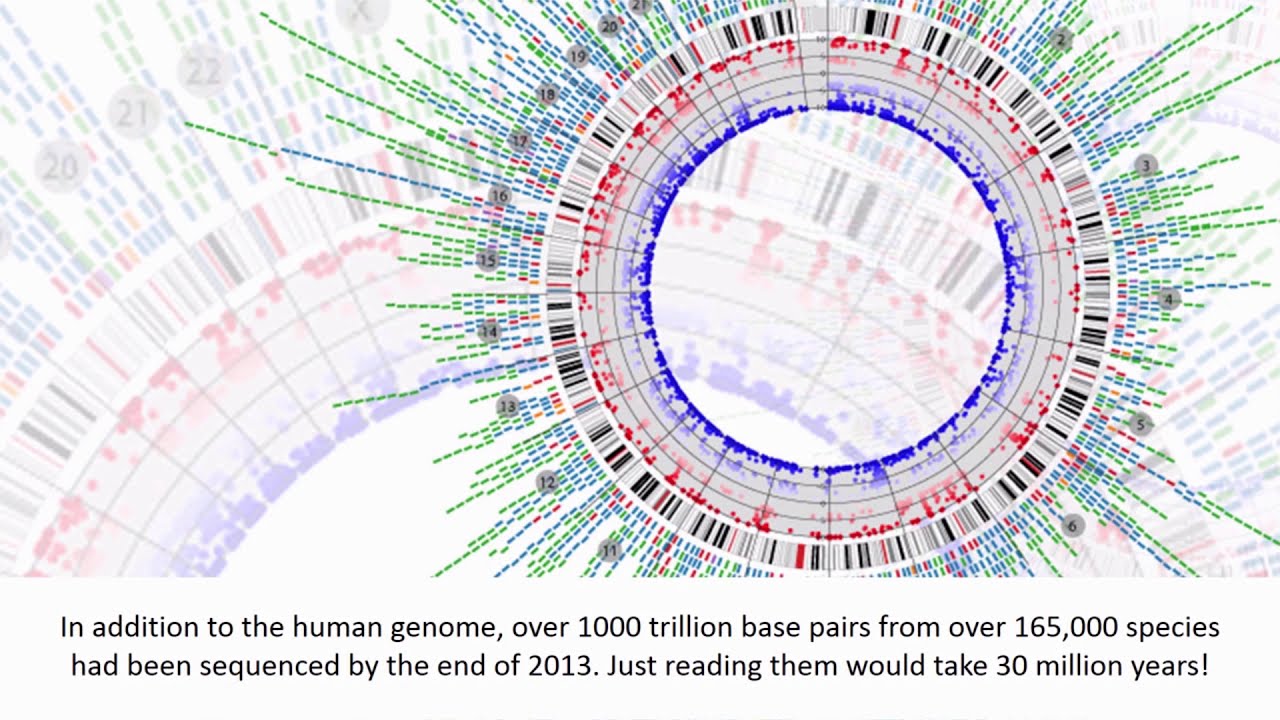 What Is Bioinformatics And Important - YouTube