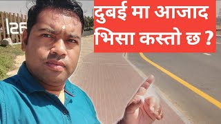 दुबई मा आजाद भिसा कस्तो छ।। आजाद भिसा मा काम पाउँछ?Dubai Azad Visa Update।।