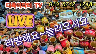 다육이닥터 TV 라이브방송 해요.놀러 오세요~.이쁜화분들..