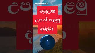 උපන් පළමු දරුවා? | තනි පද | සිංහල භාෂාව | general knowledge sinhala #shorts #thanipada #gk #sinhala