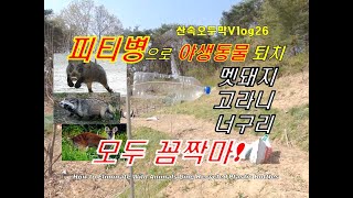 산골오두막Vlog26 피티병 바람개비로 야생동물 완벽퇴치 /How to Use Plastic Bottles to Build Pinwheel and Fight Wild Animals