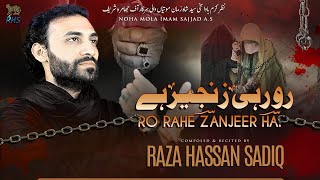 Ro Rahe Zanjeer Hai | Raza Hassan Sadiq | New Noha Album | Muharram 2023 |