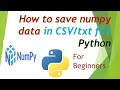 How to save array in Python for beginners numpy.savetxt() | #pythonprogramming  #pythonforbeginners