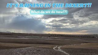 Capturing Desert Rain: Our Permaculture Approach to Water Harvesting in the Namib Desert