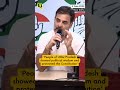 'Uttar Pradesh Voted To Save The Constitution': Rahul Gandhi at Press Meet | Election Results 2024