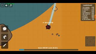 swordz.io - killing lv 34