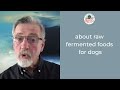 dr. billinghurst shares why gussy s gut is the most important upgrade to dog food in over 25 years