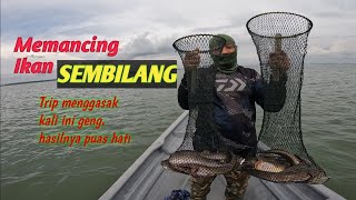 MEMANCING IKAN SEMBILANG. KALI INI MENGGASAK GENG