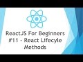 ReactJS \ React JS Tutorial For Beginners - #11 - React Lifecycle Methods