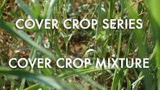 Cover Crop 42-variety Mixture: Noble Cover Crop Series