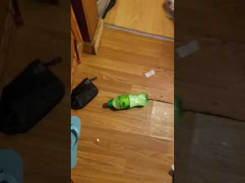 Making someones soda flat in less than a minute Making someones soda flat in less than a minute