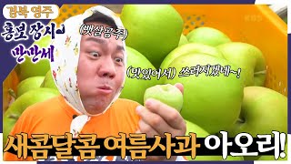 [홍보장사 만만세] 새콤달콤한 여름 사과, 아오리! [6시 내고향] | KBS 220802 방송