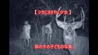 【閲覧注意】監視カメラに写ってしまった驚きのやばい現象①