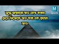 মিথ্যেবাদীর সাথে কখনো বিবাদে লিপ্ত হয়ো না heart touching motivational quotes in bangla ukti