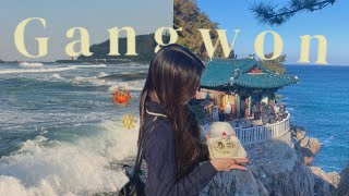 vlog. 1박 2일 강원도 여행 🔆 | 1년에 강원도 6번 간 사람의 코스 추천. 속초 해수욕장. 낙산사