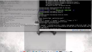 PoC Shell Sock Reverse Shell cgi-bin