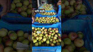 থাই বরই কুলের দাম বেড়েছে🚀🚀 #shorts #wow #plum #market #price #good #news #shortsfeed #ytshorts