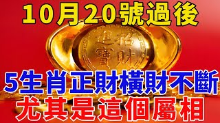 10月20號過後！这5大生肖正財橫財不斷！運勢大紅大紫，有錢、有權、有貴人，尤其是屬這個生肖的人！【般若之音】#生肖 #運勢 #風水 #財運