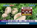 路邊野菇不要採 林園濕地公園驚見有毒