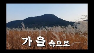 [똑손TV-가을속으로]In the autumn/북면/억새/낙동강/