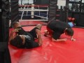 carlos newton rolling armbar