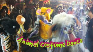 Animal costume Fancy Dress Dance