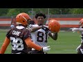 Building the Browns 2019 Organized Team Activities (Ep. 7)