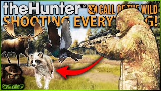 Hunting EVERYTHING On Revontuli Coast Got Us A Piebald Raccoon Dog! Call of the wild